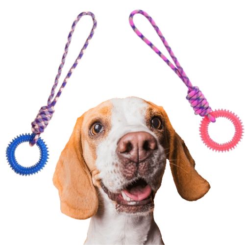 MORDEDOG: Interactive Teether  