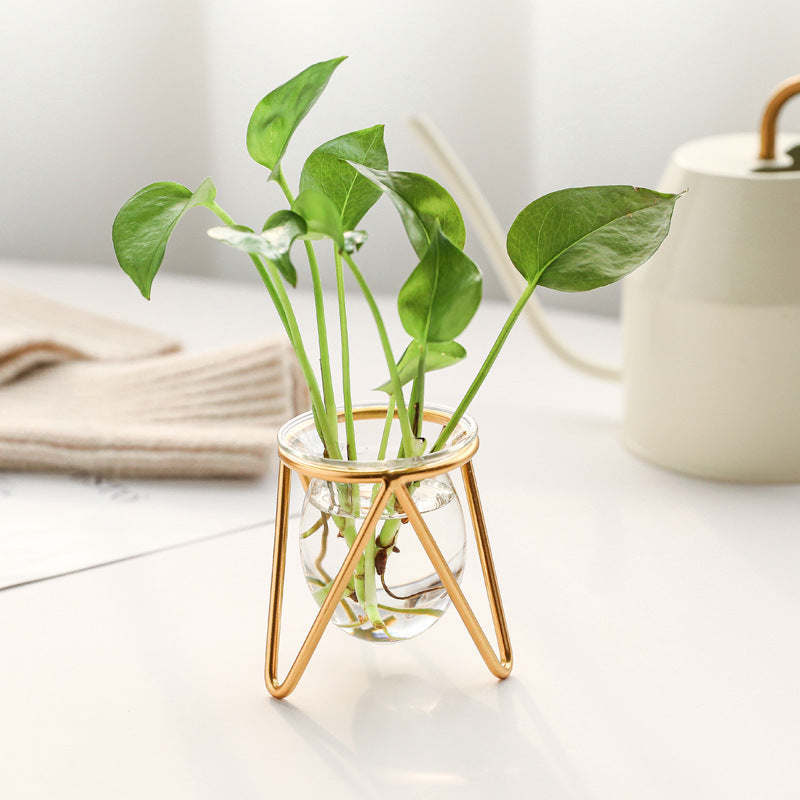 BLOOM CRYSTAL PLANT VASE  