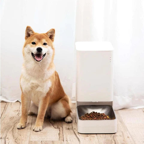 WIFI AUTOMATIC PET FEEDER