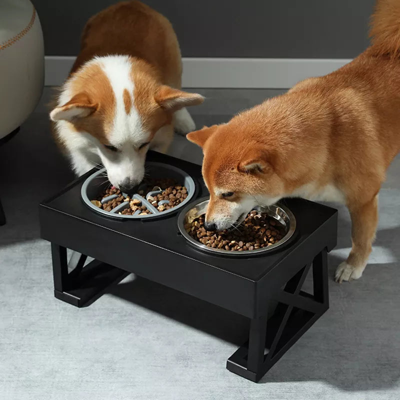 Elevated dog bowls, 3 adjustable heights 