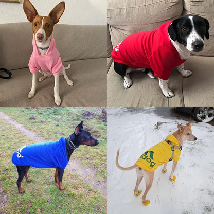 HOT PET WINTER JACKET