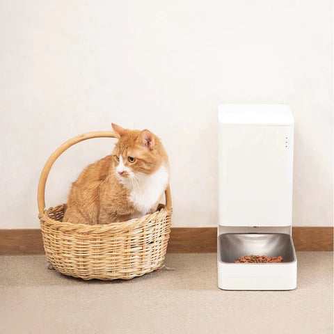 ALIMENTADOR AUTOMÁTICO PARA PETS WIFI