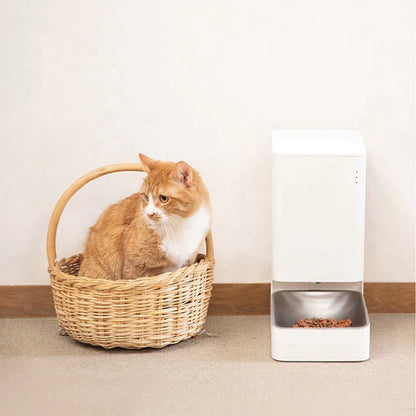 WIFI AUTOMATIC PET FEEDER